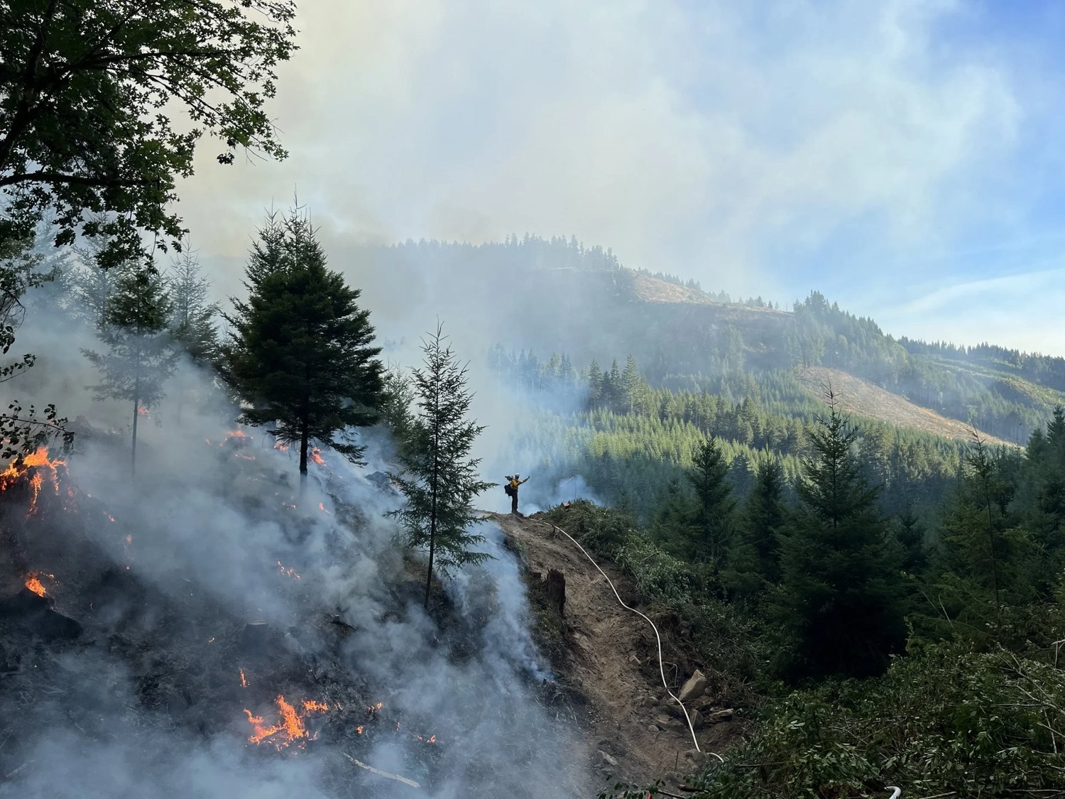 A hillside after fire has passed through it, smoke drifting between green timber, a firefighter standing on the completed line.