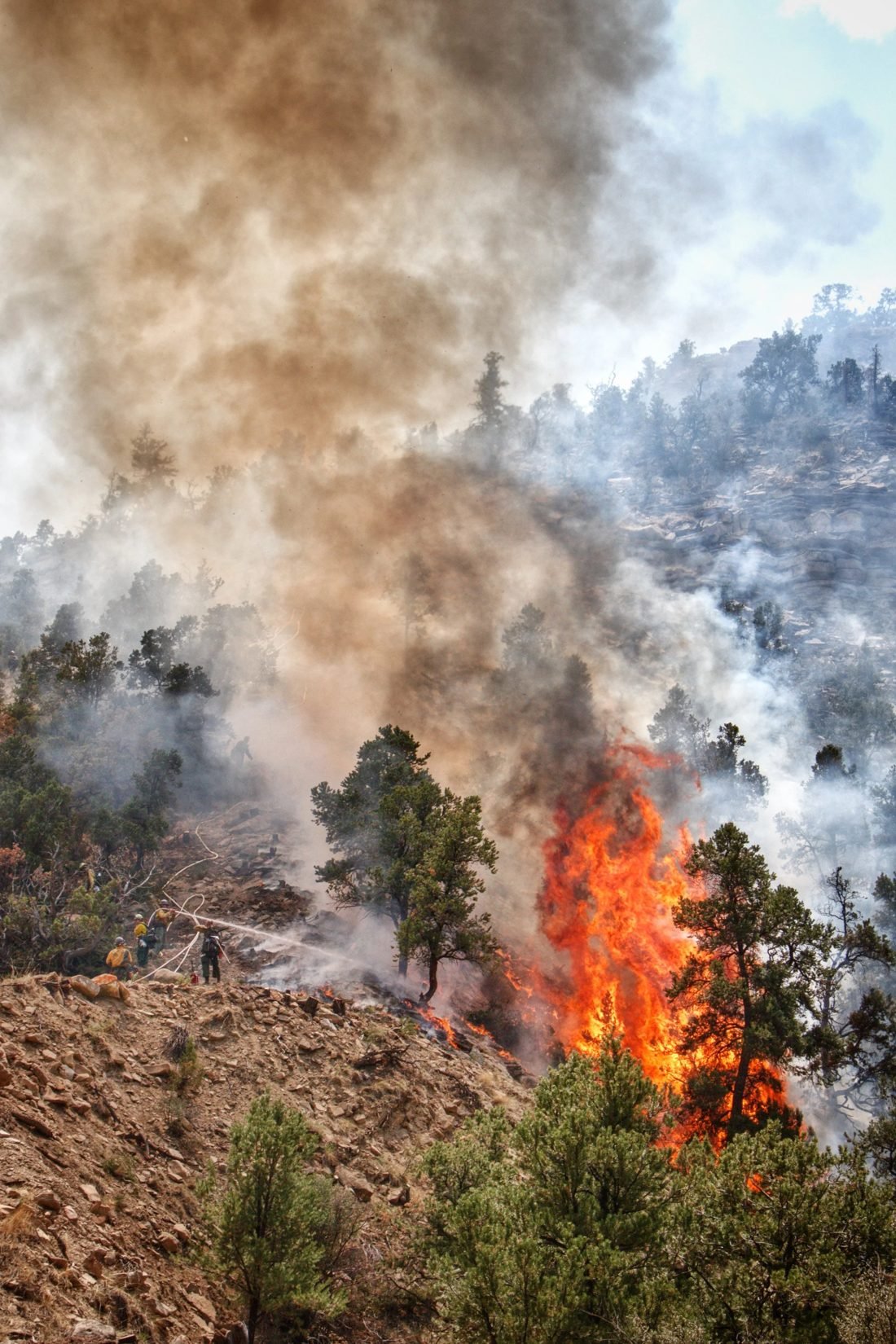 Wildfire burning uphill through timber and brush, orange flame and heavy smoke, a crew working the edge of the fire below.